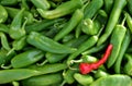 Green and Red Chile Peppers